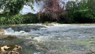 Photo n°8 de Camping Le Célé ** à Saint-Sulpice (Piscine)