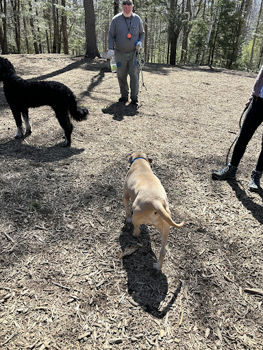 Meadow Woods Preserve Off Leash Dog Area - Thumbnail