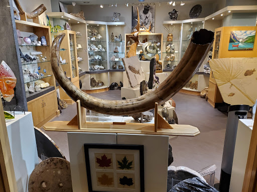 The Quest Gallery - Visual