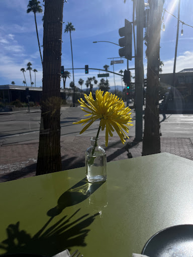 Palm Canyon at Baristo Logo