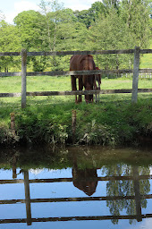 Photo n°7 de Haras De La Belletière à Mélicourt (Écurie)