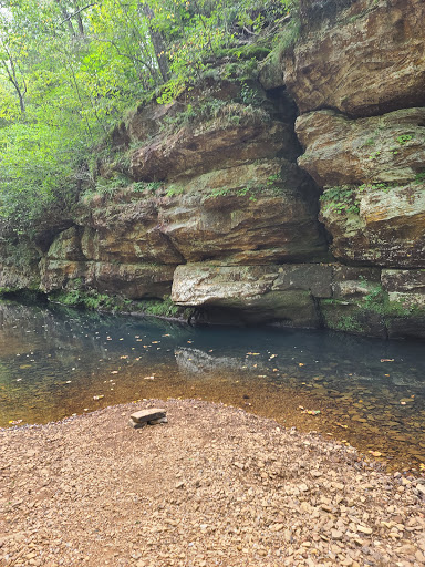 Bell Smith Springs Scenic Area - Thumbnail