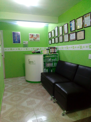 Spa VidaySalud Logo