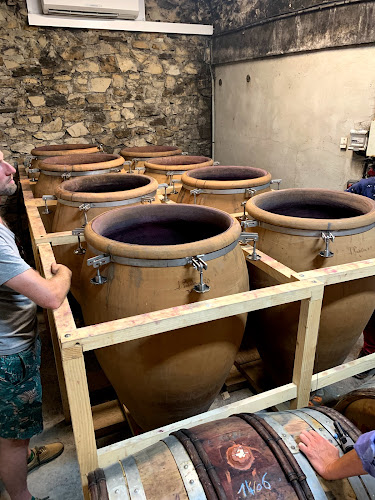 http://lescoqsduvin.fr/