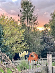 Photo n°18 de Le Hameau - Logement insolite à Florent-en-Argonne (Restaurant)