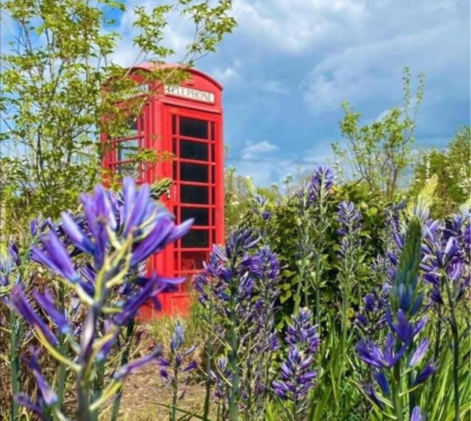 The Cottage Garden and Tearoom at New Forest Lavender