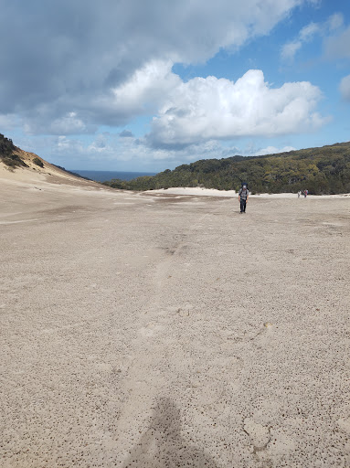 Cooloola Sandpatch - Visual