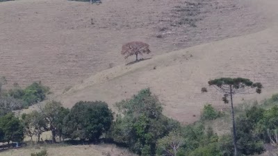Photos of Cavalgadas Rent a Horse