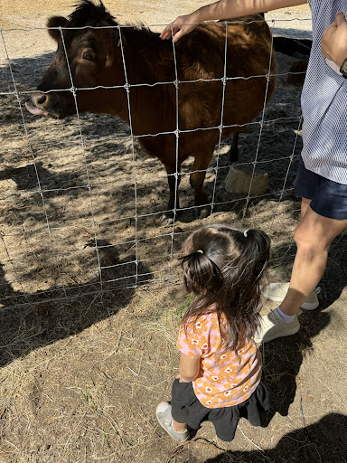 Scoops Farm - Thumbnail