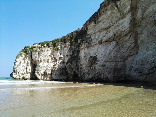 Spiaggia di Zaiana