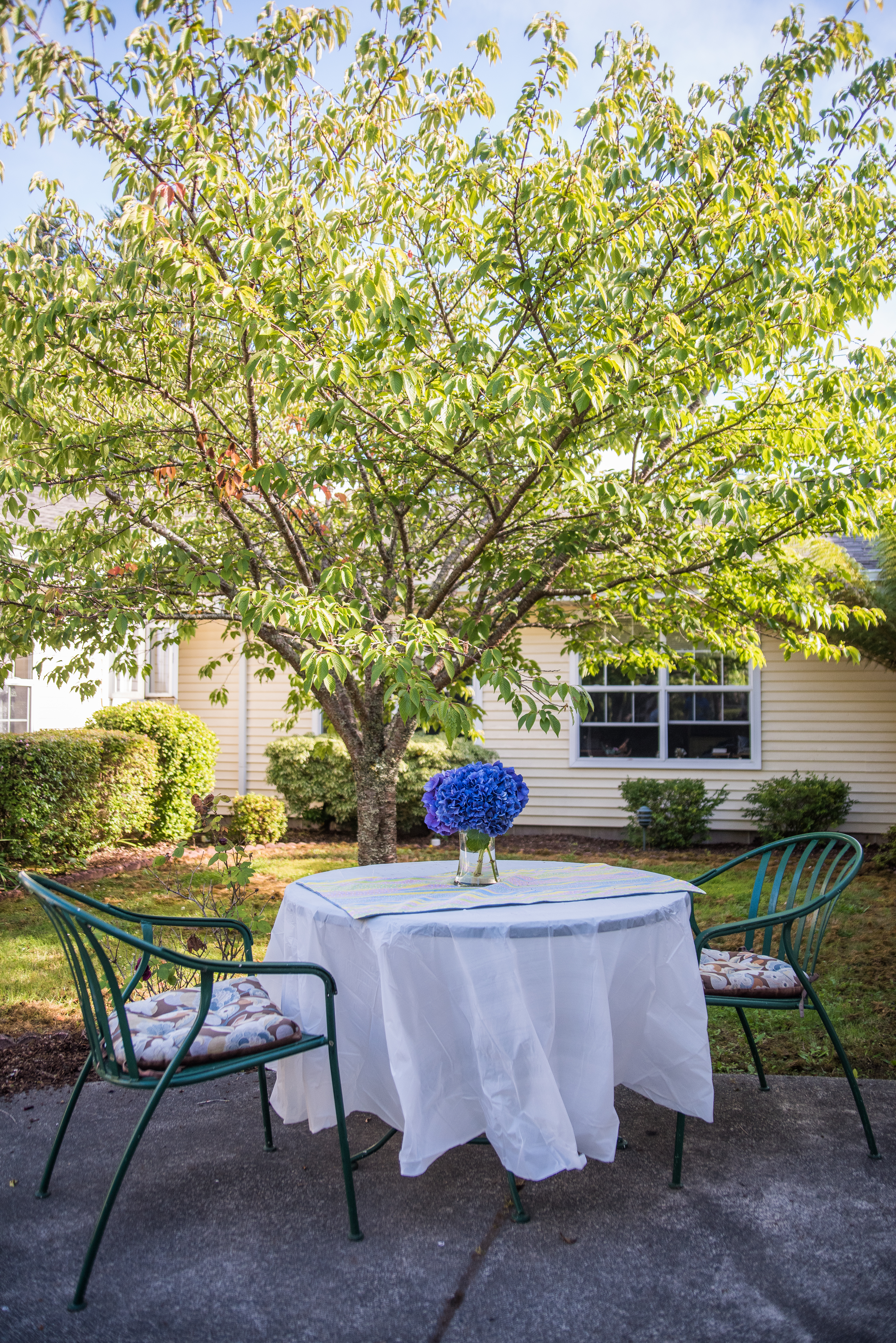 Azalea Gardens Senior Living