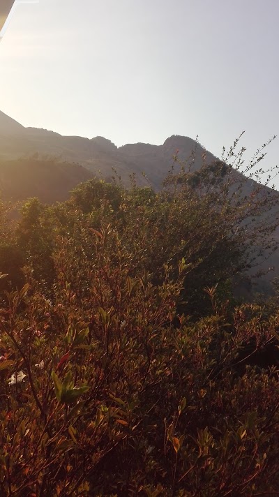 Photos of Magoebaskloof Canopy Tours
