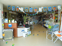 Alsace Loisirs Diffusion Ald à Brumath