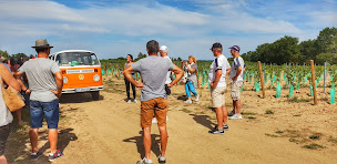 Photo n°15 de Ernest Le Combi à Bouchemaine (Attraction touristique)