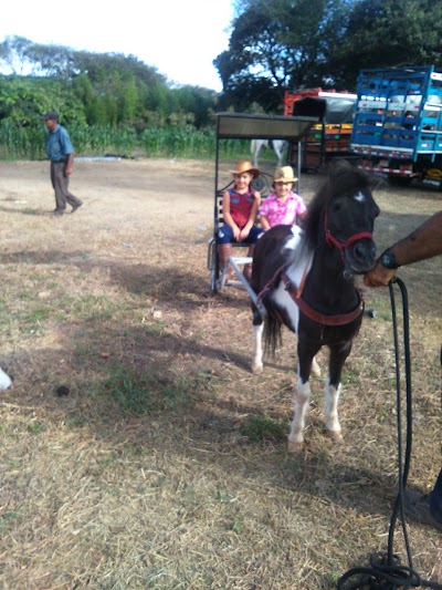 Photos of Plaza de Toros Sabana Larga