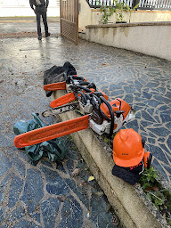 Photo n°13 de Sébastien Elagueur à Mitry-Mory (Service d'élagage)