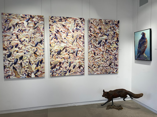 Gallery Wild - Visual