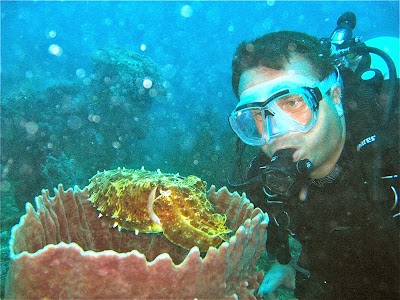 Photos of Bali Oase Divecenter