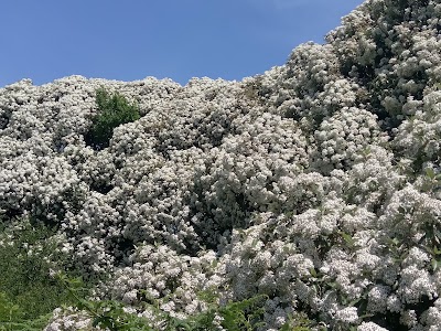 Photos of Tara Hill Walking Trail