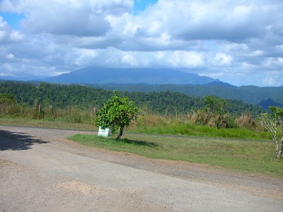 Photos of Mungalli Creek Dairy