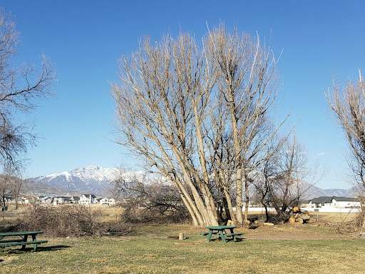 Osier Park - Visual