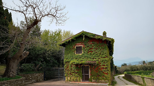 Celeste del Garda - Thumbnail