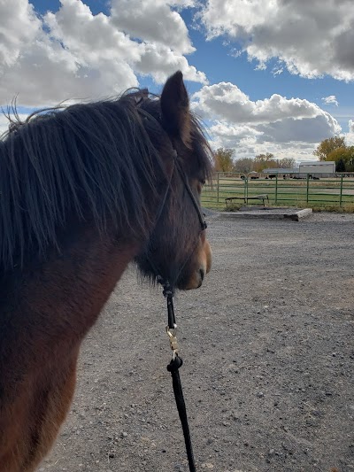 West End Veterinary Clinic