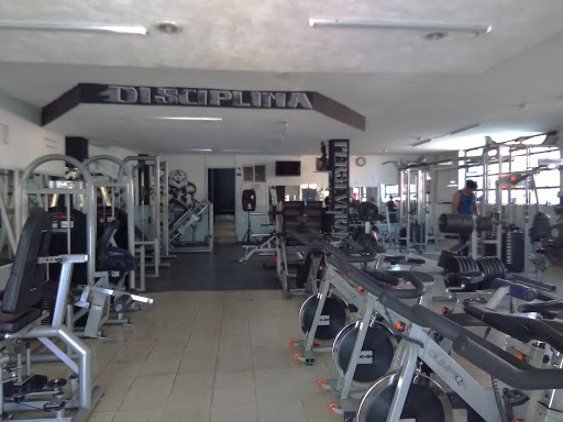 Gym poder house - Thumbnail