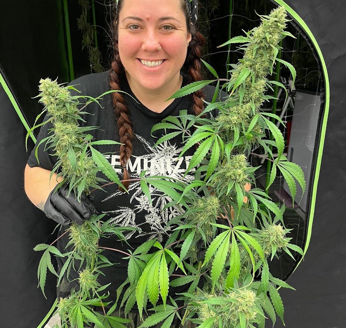 Ounce Of Hope Aquaponic Cannabis Dispensary photo 5