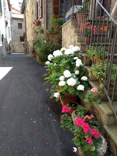 Foxy Caffe' - Visual