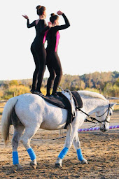 Photo n°6 de Les écuries de la plaine à Clansayes (Centre équestre)