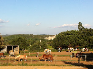 Photo n°2 de Centre Equestre Du Pont Du Gard à Collias (Complexe sportif)