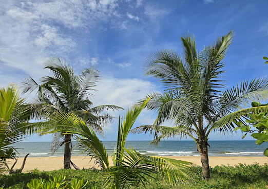 BEACH BAR HUE by null