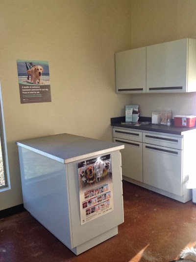 veterinary-care