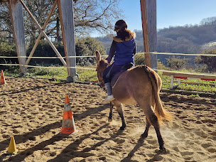 Photo n°1 de Domaine Pinsun à Laà-Mondrans (Éleveur de chevaux)