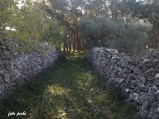 Bosco del Santissimo - Thumbnail