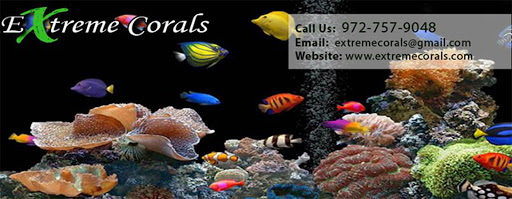 Extreme Corals - Visual