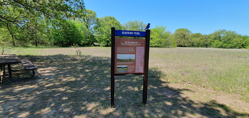 Bluebird Trail - Visual