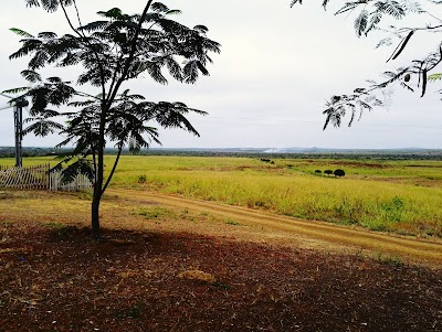Photos of Cereales Del Ecuador S.C.C