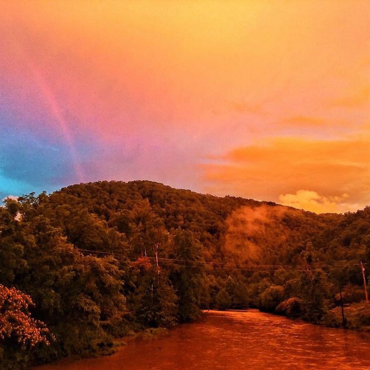 The Bean Trees - Restaurant in Hartford