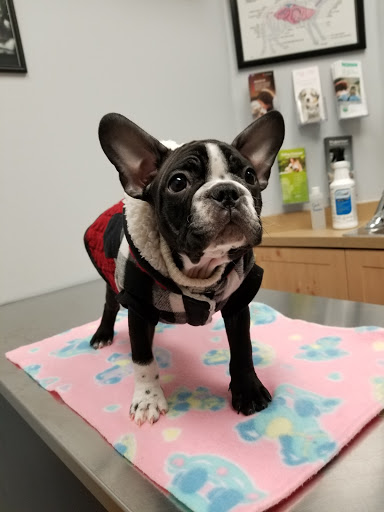 Campbellville Animal Hospital - Thumbnail