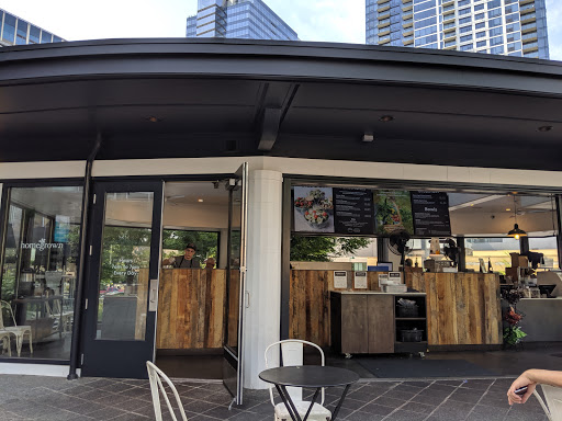 Bellevue Connection - Visual