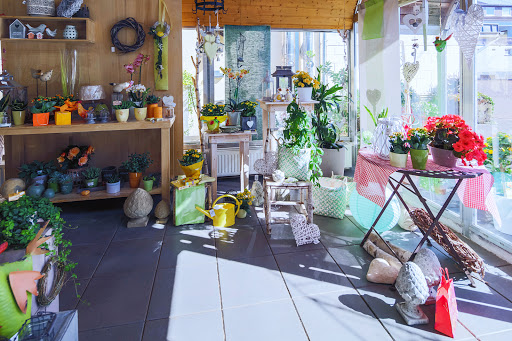 Blumen Bauer - Visual