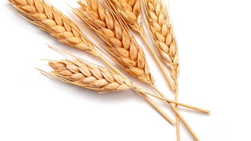 Noted Technical Bakery Services Inc