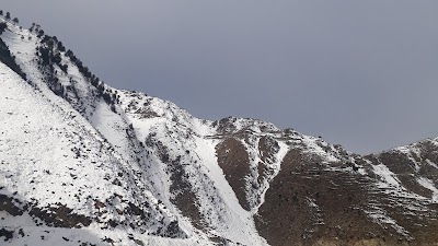 Nuristan Forest National Reserve