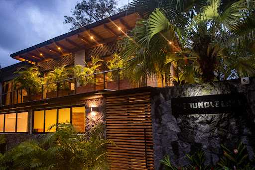 The Jungle Loft