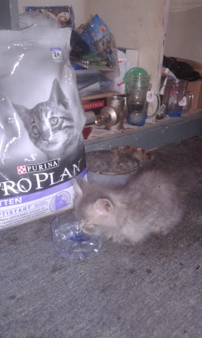 Photos of Meeow House