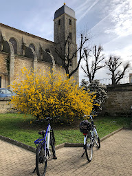 Photo n°14 de Saint-Emilion expédition à Abzac (Agence de visites touristiques)