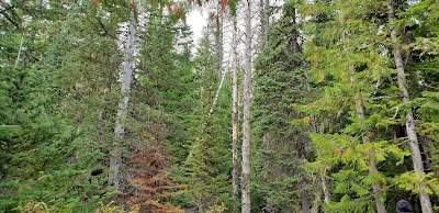 Summit Meadows Cemetery