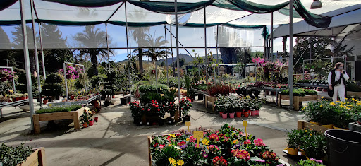 Jardineria Bisanyes Gallery - Spain